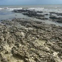 Viking Bay - Ramsgate