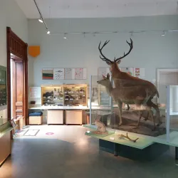 Museum of Reading - Reading