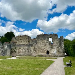 Reading Abbey Ruins - Reading