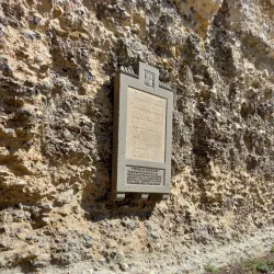 Reading Abbey Ruins - Reading