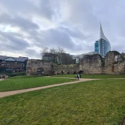 Reading Abbey Ruins - Reading