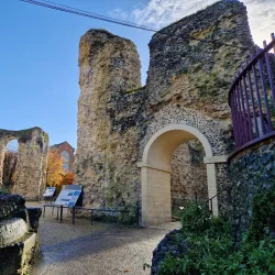 Reading Abbey Ruins - Reading