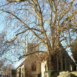 Reading Minster (St Mary's Church) - Reading
