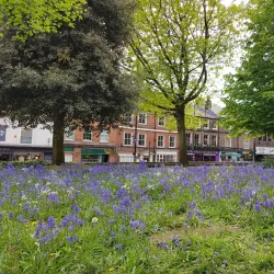 Reading Minster (St Mary's Church) - Reading