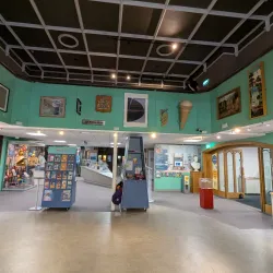 Reading Museum and Town Hall - Reading