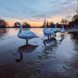 Thames Path - Reading