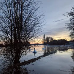 Thames Path - Reading
