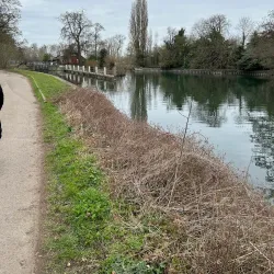 Thames Path - Reading
