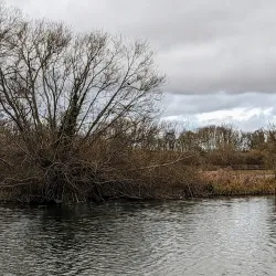 Thames Path - Reading