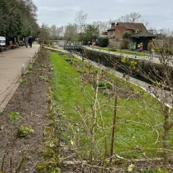 Thames Path - Reading