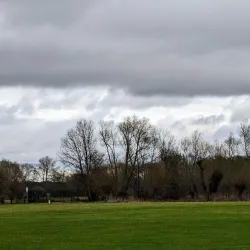 Thames Path - Reading