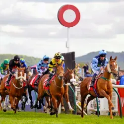 Redcar Racecourse - Redcar