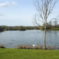 Arrow Valley Country Park - Redditch