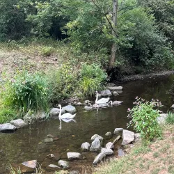 Arrow Valley Country Park - Redditch