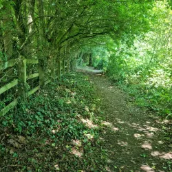Batchley Brook Nature Reserve - Redditch