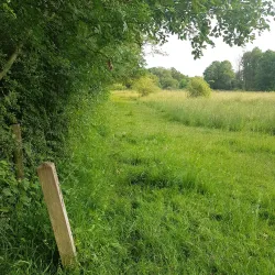 Batchley Brook Nature Reserve - Redditch