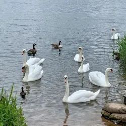 Retford Heritage Trail - Retford