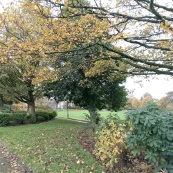 Broadfield Park - Rochdale