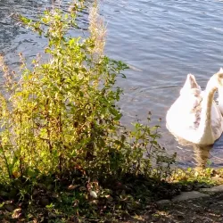 Queen's Park - Rochdale