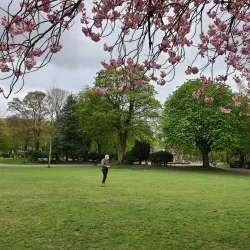 Queen's Park - Rochdale