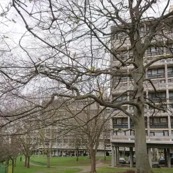 Alton Estate - Roehampton