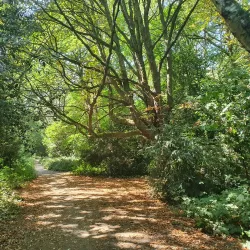 Putney Heath - Roehampton