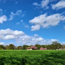 Raphael Park - Romford