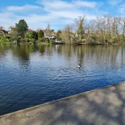 Raphael Park - Romford