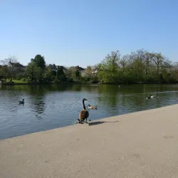 Raphael Park - Romford