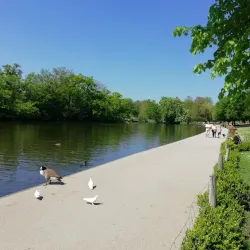 Raphael Park - Romford