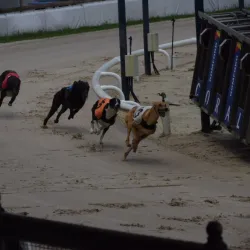 Romford Greyhound Stadium - Romford