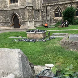 St Edward the Confessor Church - Romford