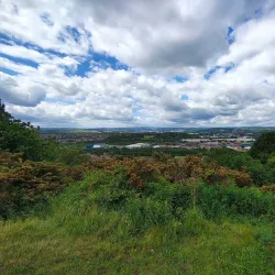 Boston Castle - Rotherham