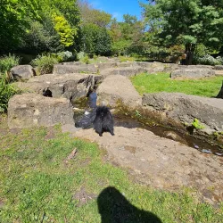 Clifton Park Museum - Rotherham