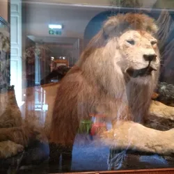 Clifton Park Museum - Rotherham