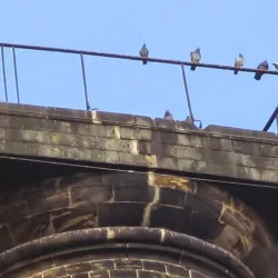 Keppel's Column - Rotherham