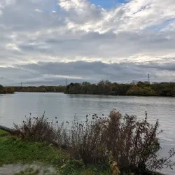 Rother Valley Country Park - Rotherham