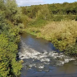 Rother Valley Country Park - Rotherham