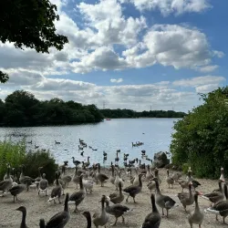 Rother Valley Country Park - Rotherham