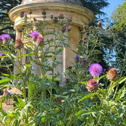 Jephson Memorial Fountain - Royal Leamington Spa