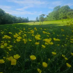 Newbold Comyn Park - Royal Leamington Spa