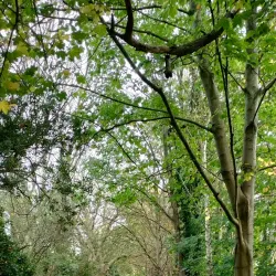 Newbold Comyn Park - Royal Leamington Spa