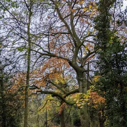 Newbold Comyn Park - Royal Leamington Spa