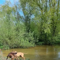 Newbold Comyn Park - Royal Leamington Spa