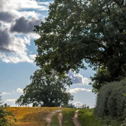 Newbold Comyn Park - Royal Leamington Spa