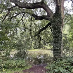 Victoria Park - Royal Leamington Spa