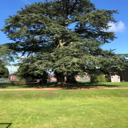 Bilton Grange Golf Club - Rugby