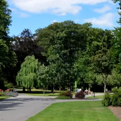 Caldecott Park - Rugby