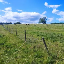 Draycote Water - Rugby