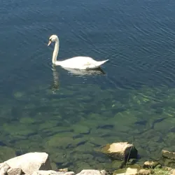 Draycote Water - Rugby